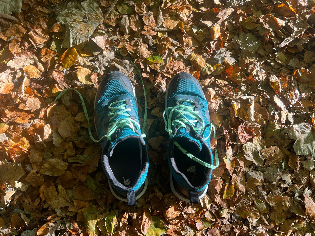A pair of teal and black running shoes with untied laces placed on a forest floor covered in dry autumn leaves, lit by sunlight through trees.